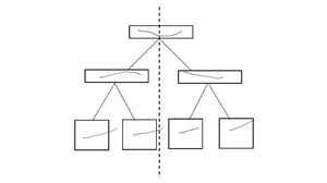 Graphic organizer of...